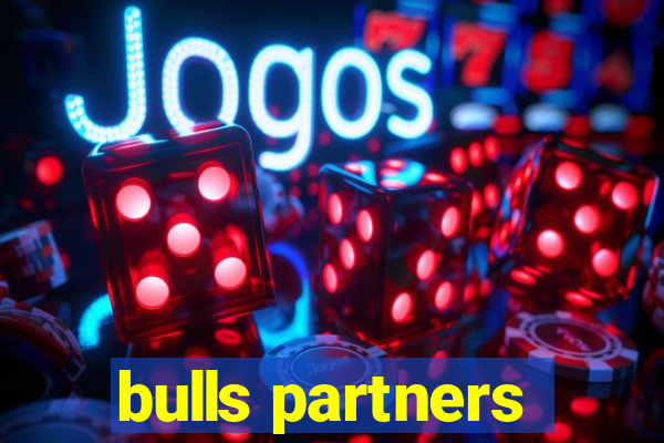 bulls partners